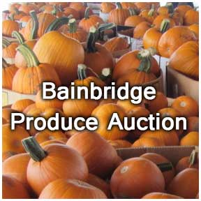 Bainbridge Produce Auction – Visit Paint Valley