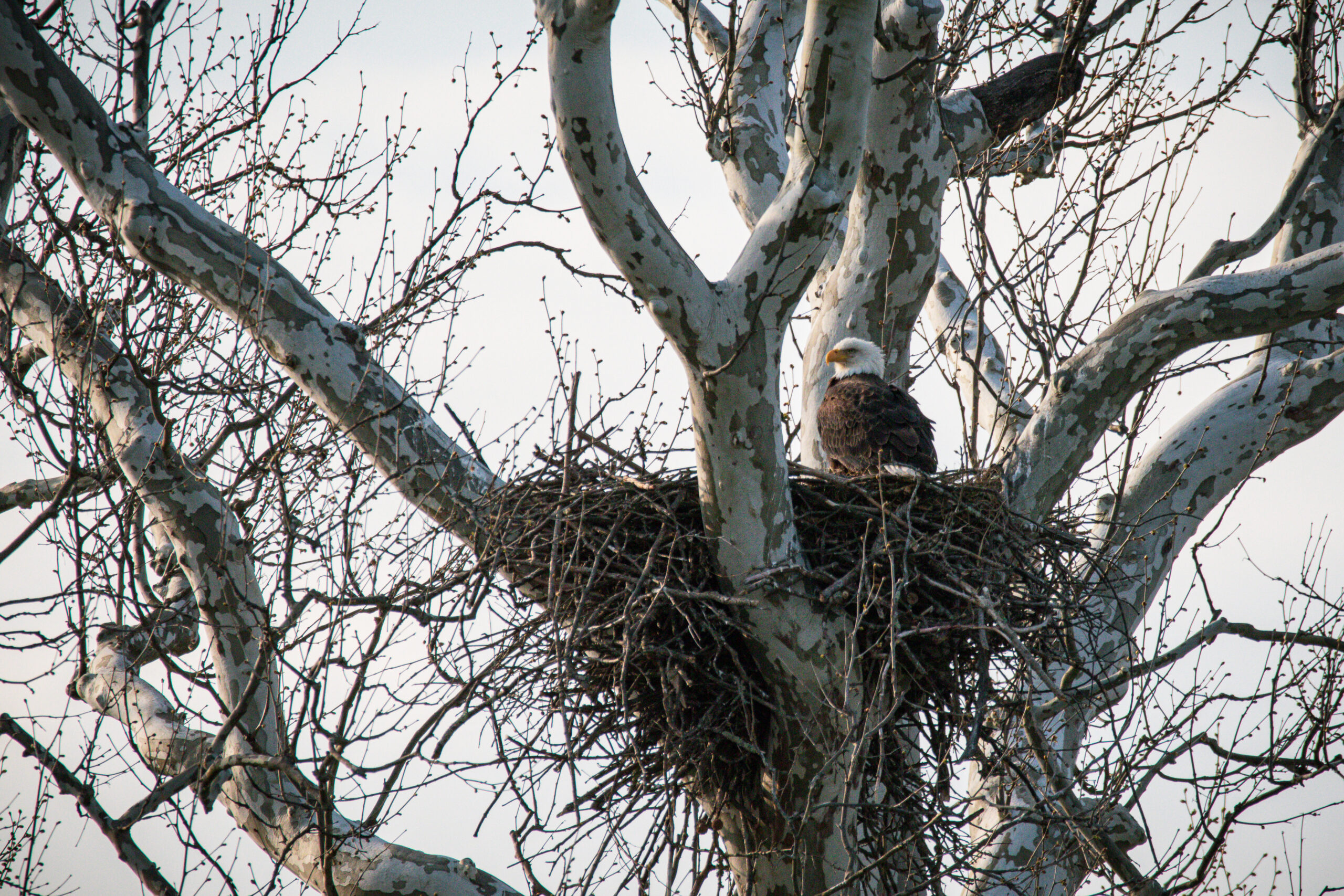 Southern Ohio’s Paint Valley A Perfect Weekend Getaway Visit Paint